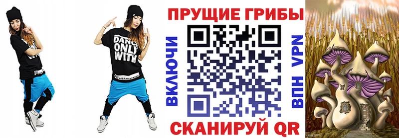 Псилоцибиновые грибы Cubensis Старая Купавна