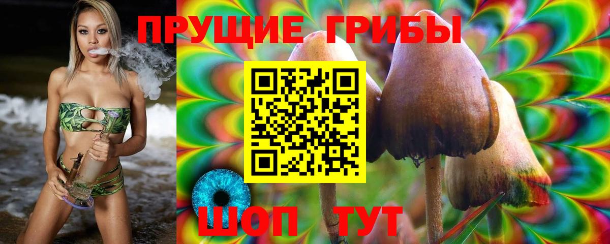 Галлюциногенные грибы GOLDEN TEACHER Старая Купавна