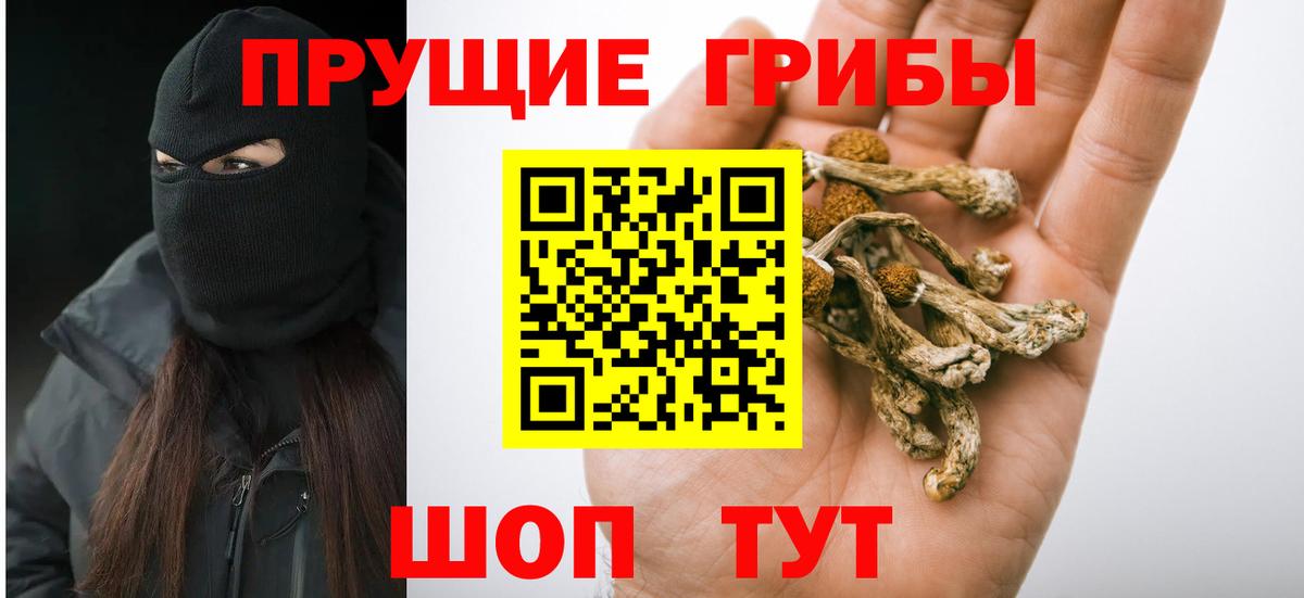 Старая Купавна  Псилоцибиновые грибы ЛСД  Вход с VPN 